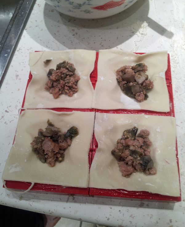 Aubergine and mushroom pan-fried dumplings